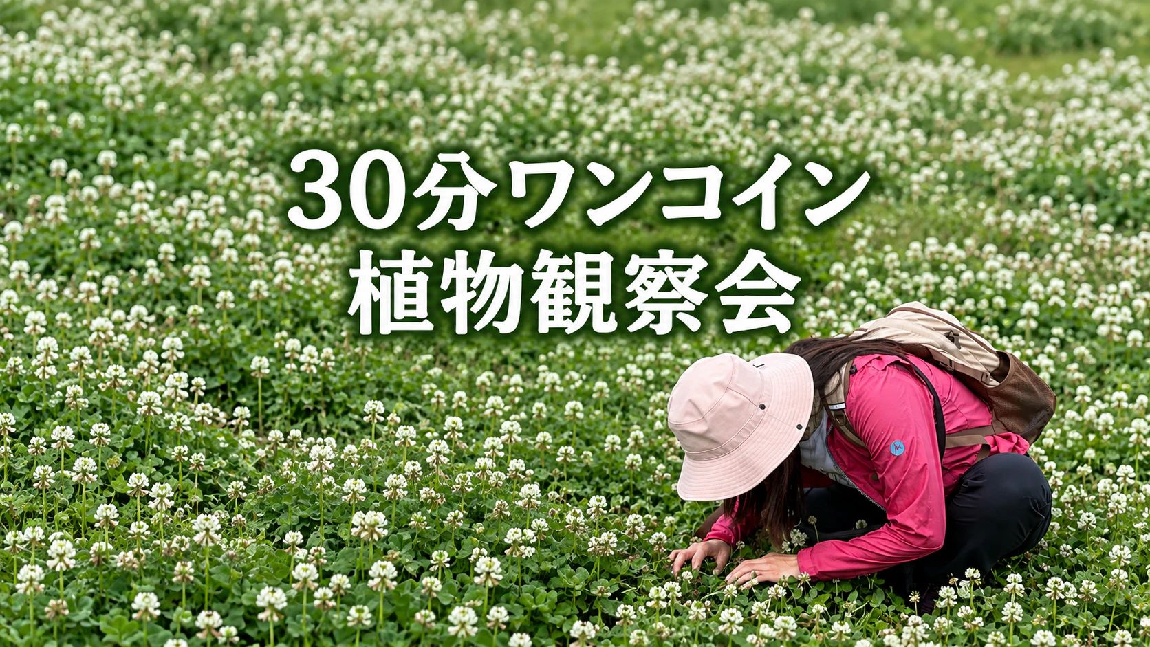 超速！30分ワンコインの植物観察会🌱365日野草生活®のん