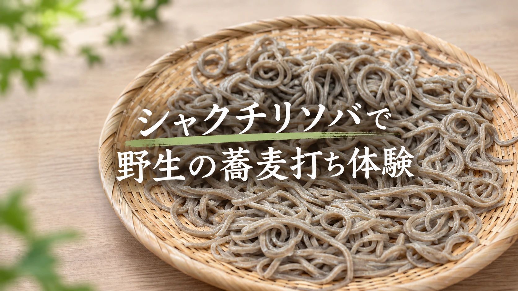 野生のソバで蕎麦を打つ！365日野草生活®のん