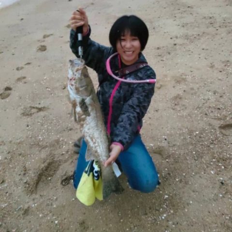 おこめまきこ